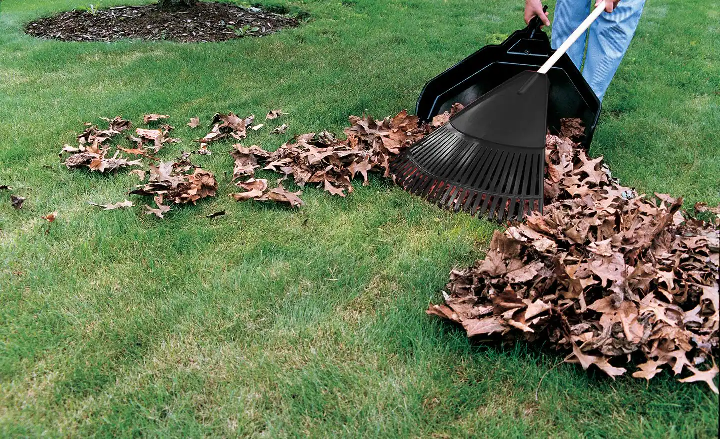 Leaf cleanup work on a lawn