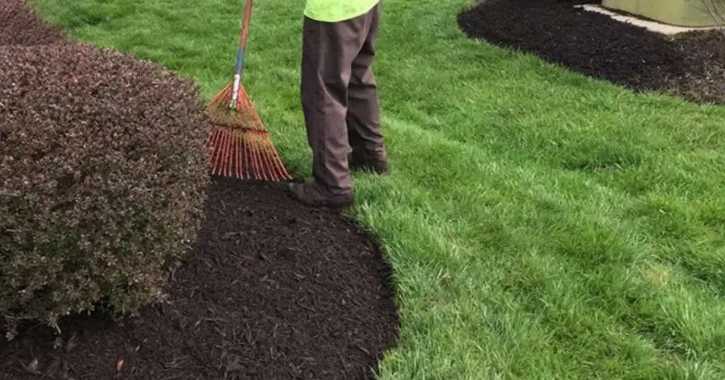 Mulching and bed refresh result